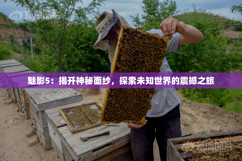 魅影5：揭开神秘面纱，探索未知世界的震撼之旅