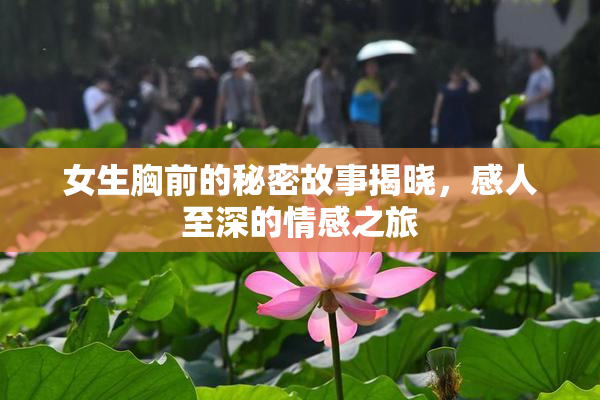 女生胸前的秘密故事揭晓，感人至深的情感之旅