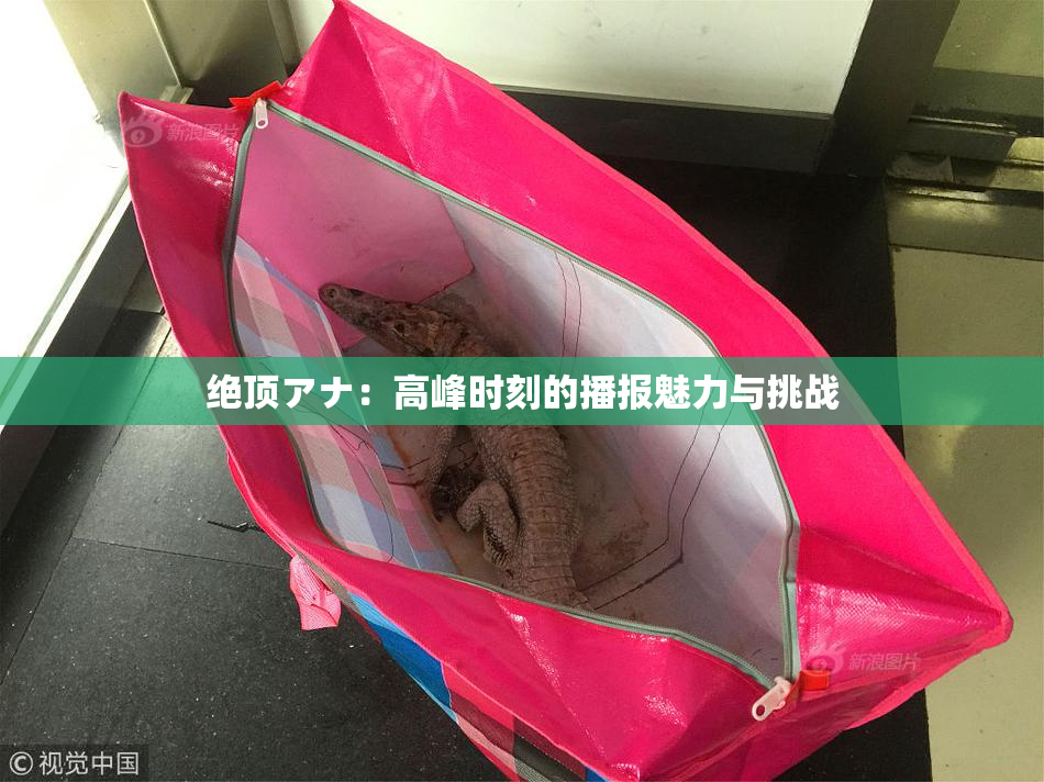绝顶アナ：高峰时刻的播报魅力与挑战