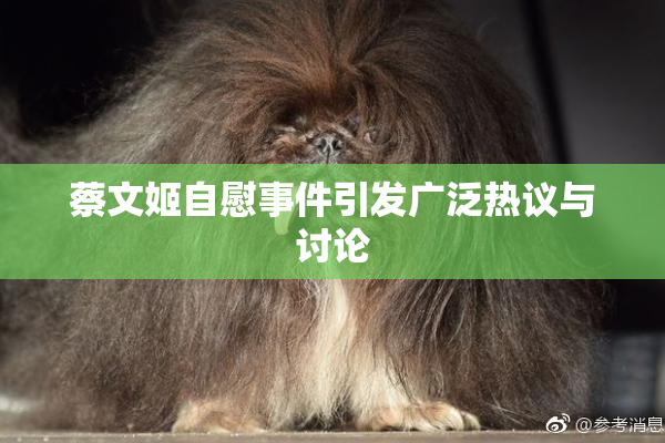 蔡文姬自慰事件引发广泛热议与讨论