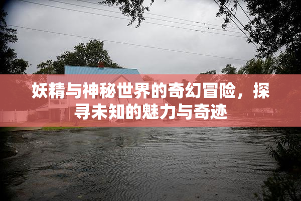 妖精与神秘世界的奇幻冒险，探寻未知的魅力与奇迹