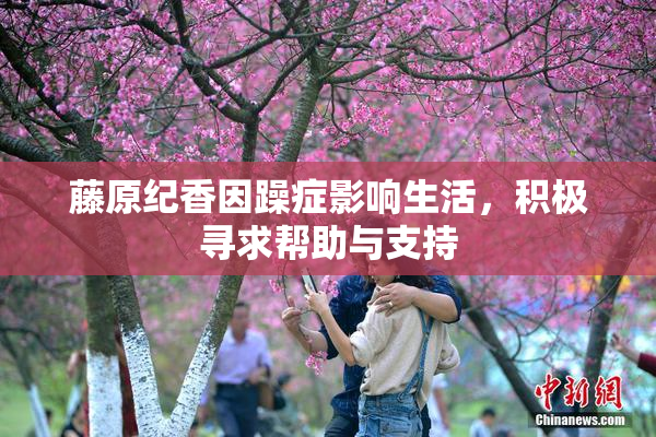 藤原纪香因躁症影响生活，积极寻求帮助与支持