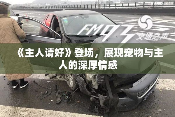 《主人请好》登场，展现宠物与主人的深厚情感