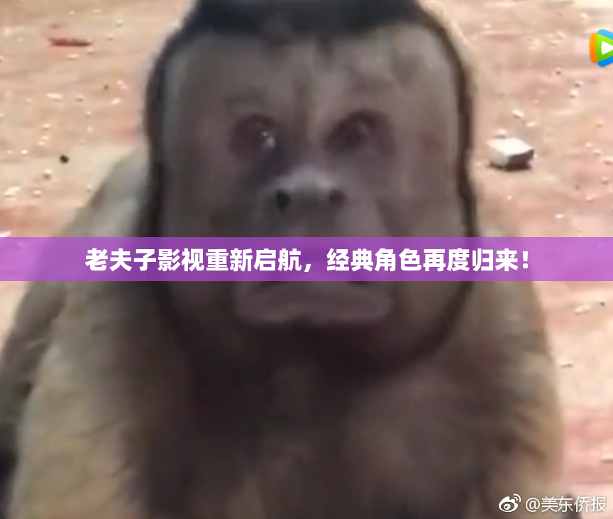 老夫子影视重新启航，经典角色再度归来！
