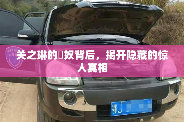 关之琳的婬奴背后，揭开隐藏的惊人真相
