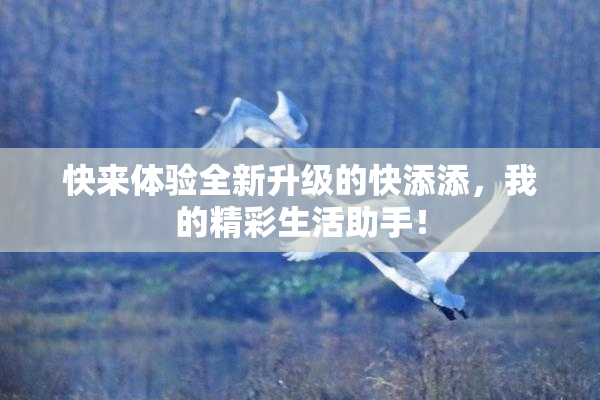 快来体验全新升级的快添添，我的精彩生活助手！
