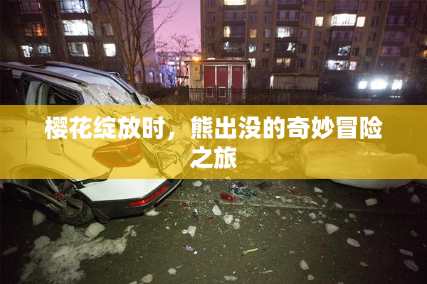 樱花绽放时，熊出没的奇妙冒险之旅