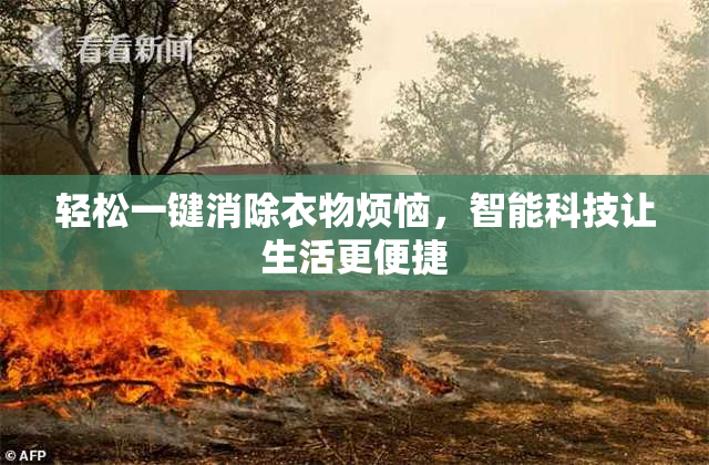 轻松一键消除衣物烦恼，智能科技让生活更便捷