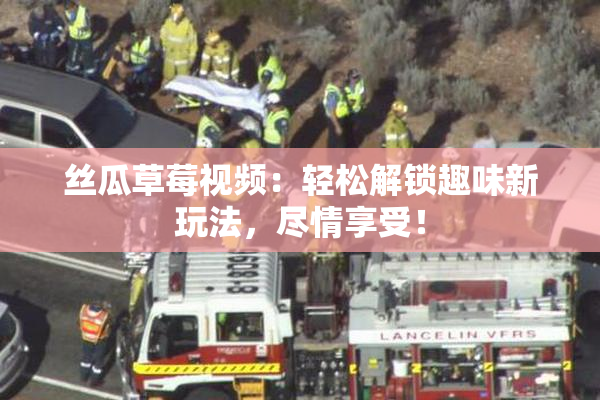 丝瓜草莓视频：轻松解锁趣味新玩法，尽情享受！