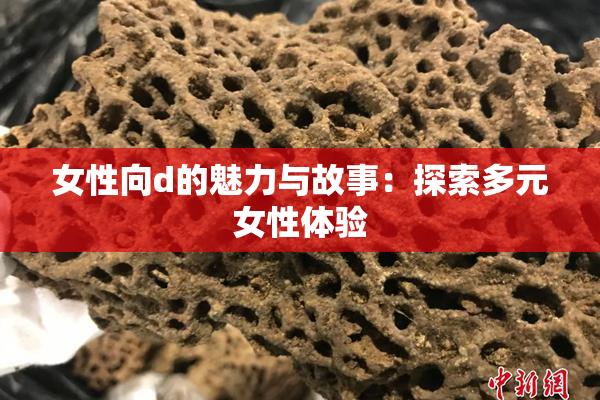 女性向d的魅力与故事：探索多元女性体验