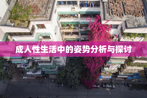 成人性生活中的姿势分析与探讨