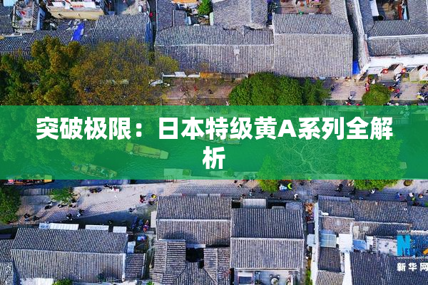 突破极限：日本特级黄A系列全解析