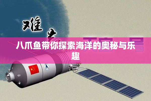 八爪鱼带你探索海洋的奥秘与乐趣