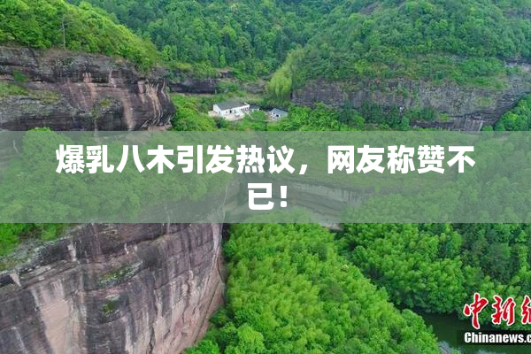 爆乳八木引发热议，网友称赞不已！