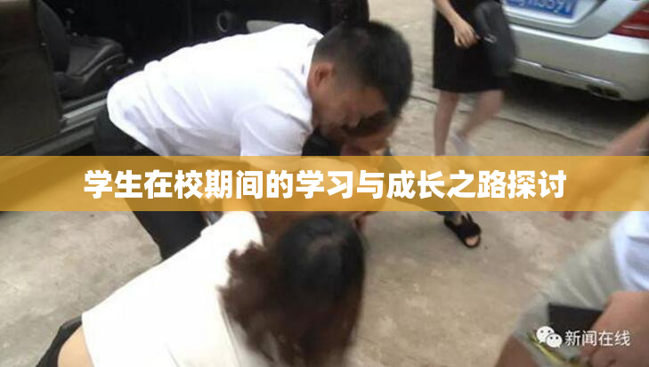 学生在校期间的学习与成长之路探讨