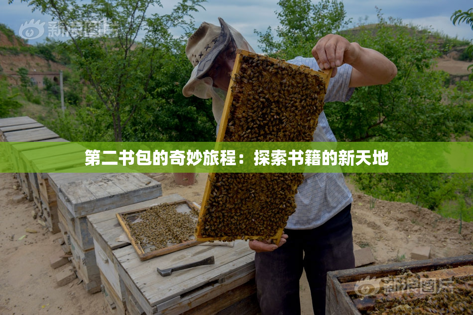 第二书包的奇妙旅程：探索书籍的新天地