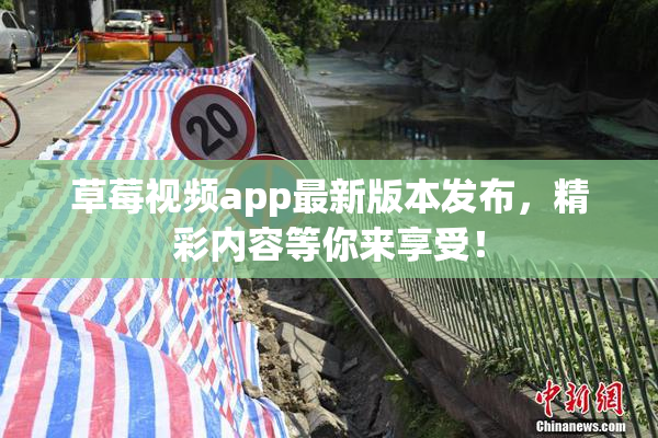 草莓视频app最新版本发布，精彩内容等你来享受！