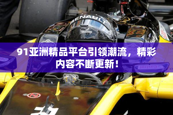 91亚洲精品平台引领潮流，精彩内容不断更新！