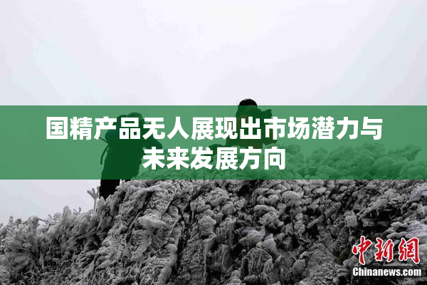 国精产品无人展现出市场潜力与未来发展方向