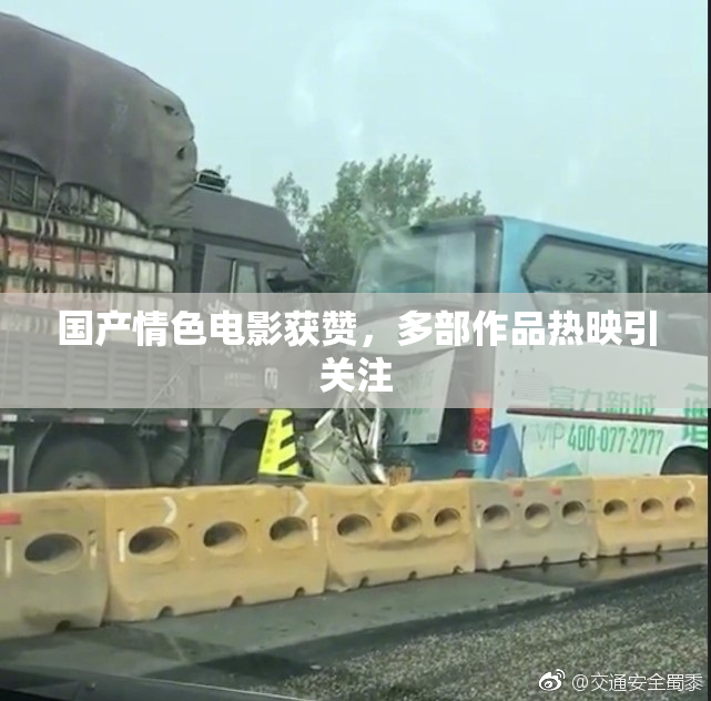 国产情色电影获赞，多部作品热映引关注