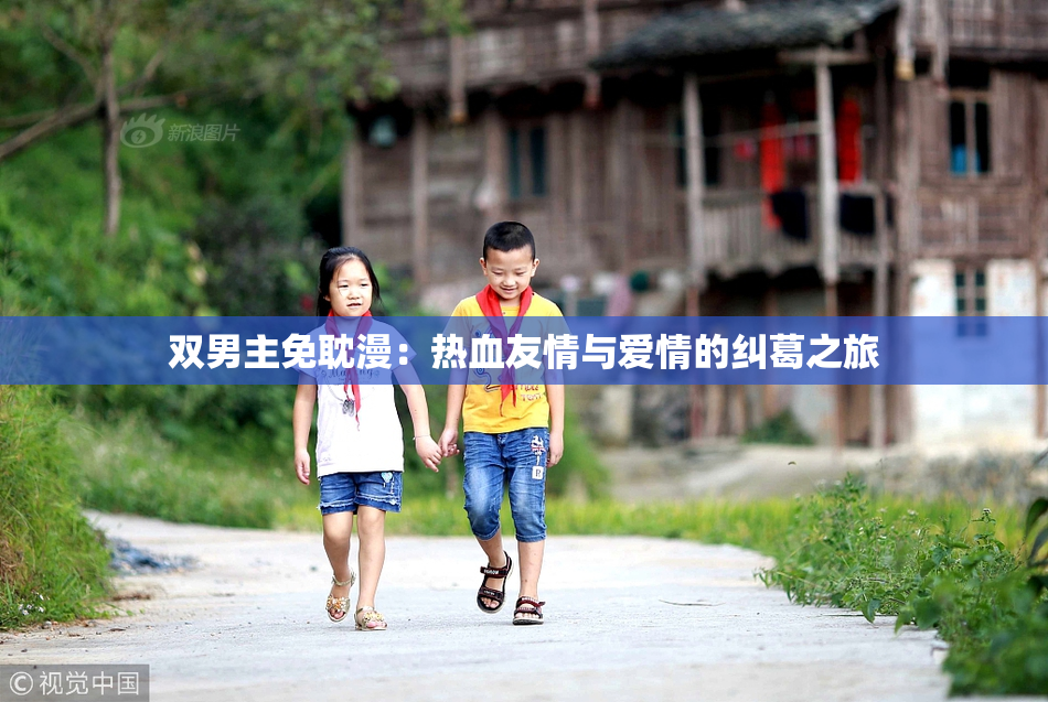 双男主免耽漫：热血友情与爱情的纠葛之旅