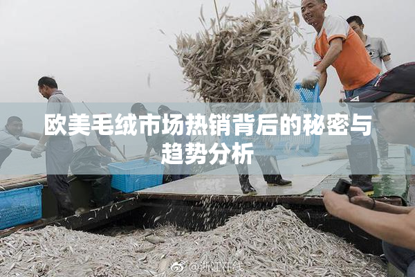欧美毛绒市场热销背后的秘密与趋势分析