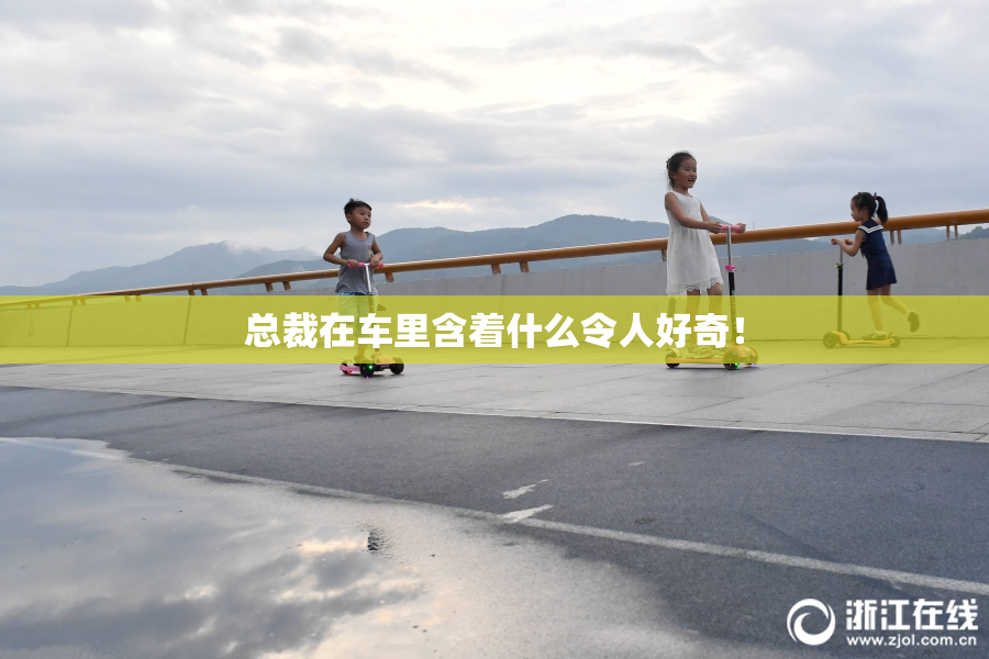 总裁在车里含着什么令人好奇！