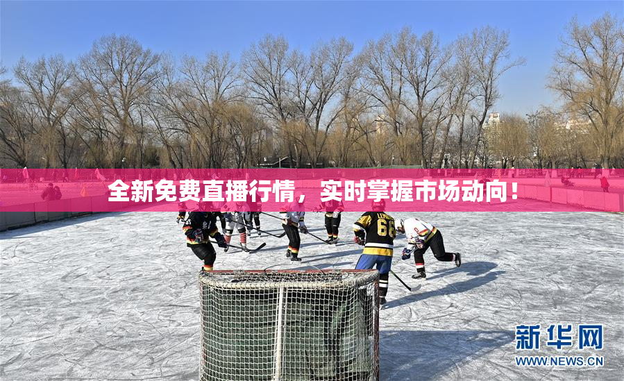 全新免费直播行情，实时掌握市场动向！