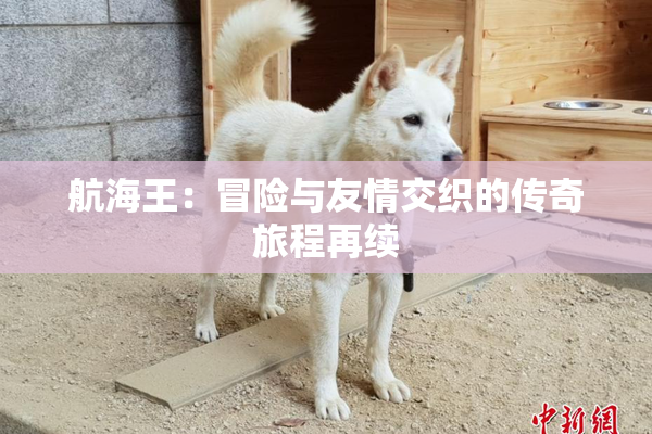 航海王：冒险与友情交织的传奇旅程再续