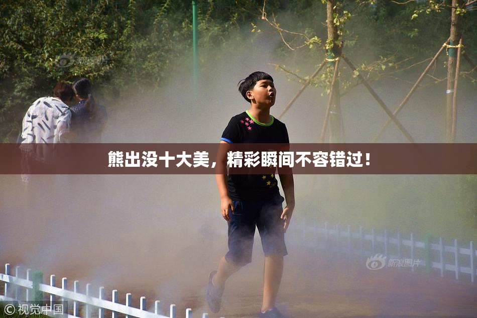 熊出没十大美，精彩瞬间不容错过！