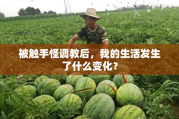 被触手怪调教后，我的生活发生了什么变化？