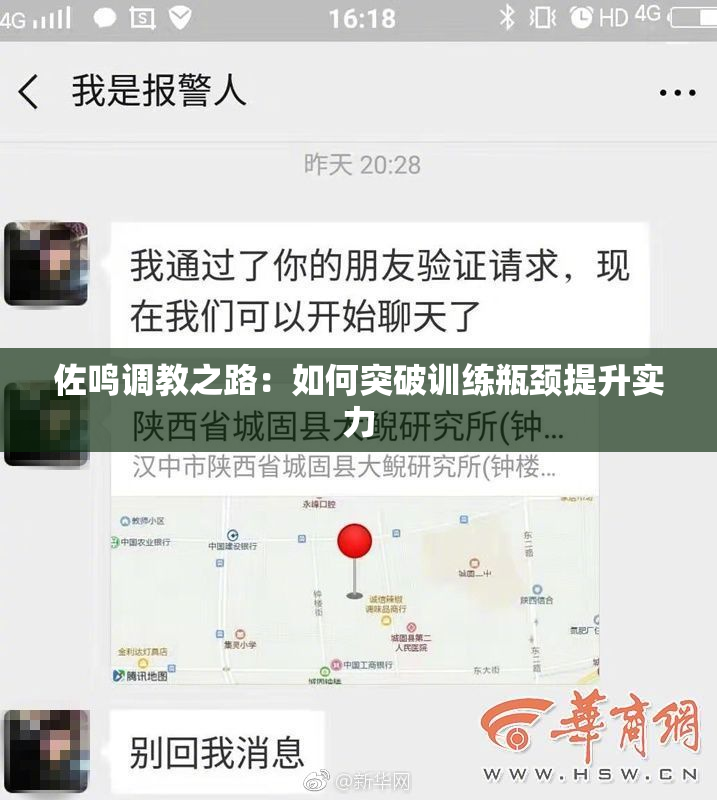 佐鸣调教之路：如何突破训练瓶颈提升实力