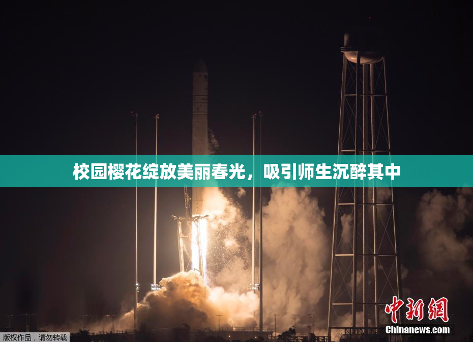 校园樱花绽放美丽春光，吸引师生沉醉其中