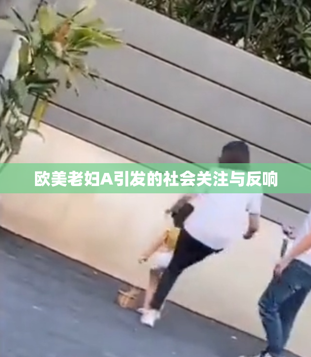 欧美老妇A引发的社会关注与反响