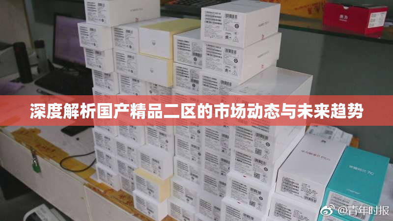 深度解析国产精品二区的市场动态与未来趋势