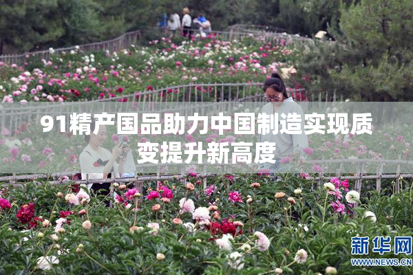 91精产国品助力中国制造实现质变提升新高度