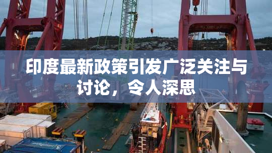 印度最新政策引发广泛关注与讨论，令人深思