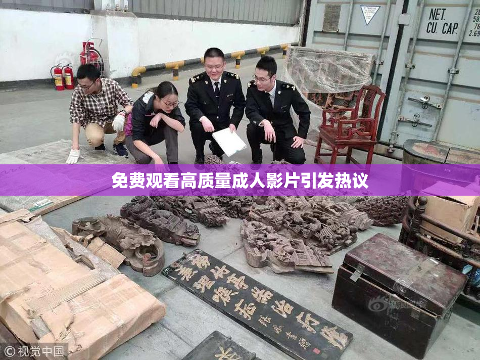 免费观看高质量成人影片引发热议
