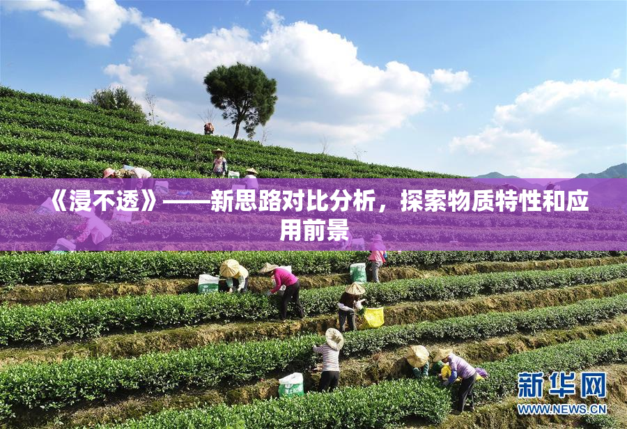 《浸不透》——新思路对比分析，探索物质特性和应用前景