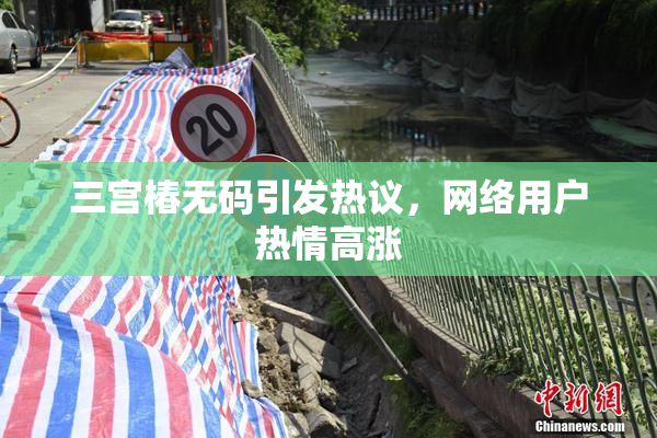 三宫椿无码引发热议，网络用户热情高涨