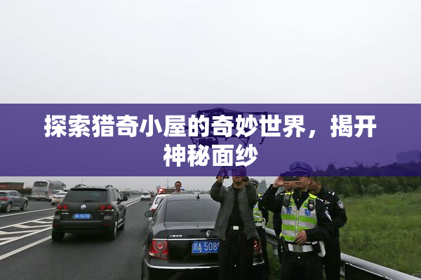 探索猎奇小屋的奇妙世界，揭开神秘面纱