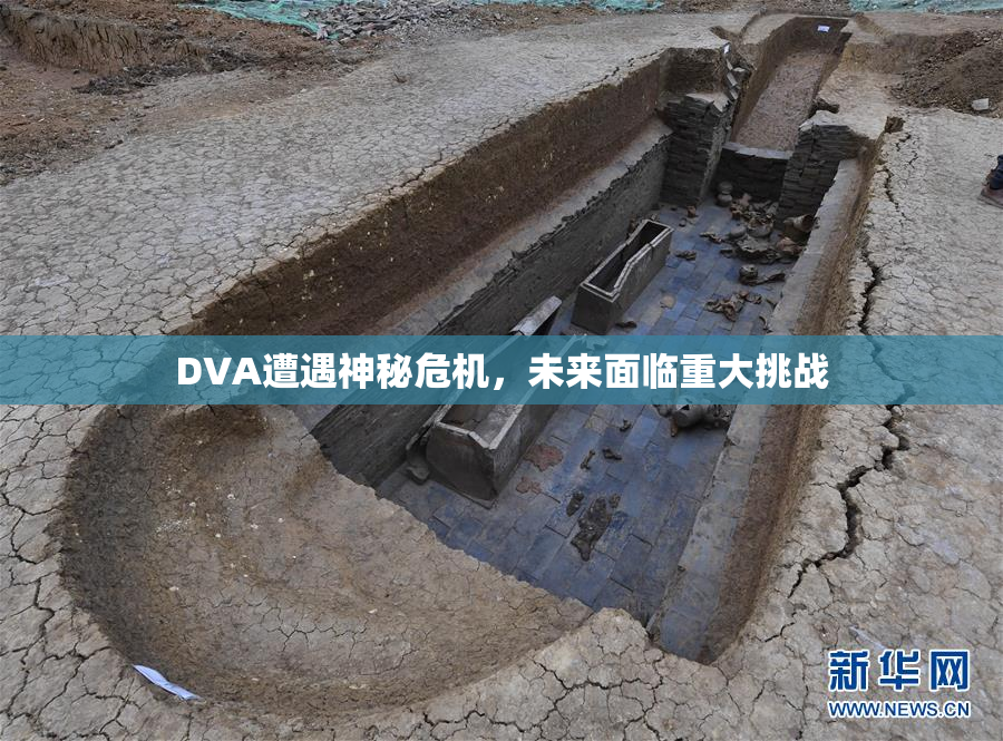 DVA遭遇神秘危机，未来面临重大挑战