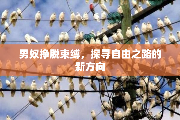 男奴挣脱束缚，探寻自由之路的新方向