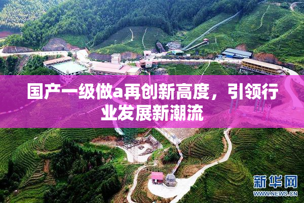 国产一级做a再创新高度，引领行业发展新潮流
