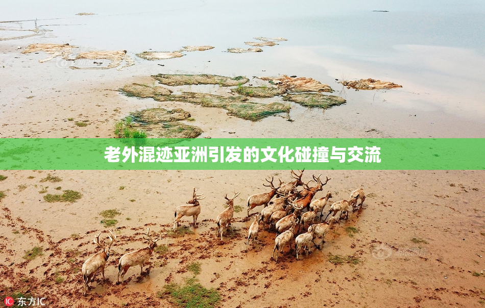 老外混迹亚洲引发的文化碰撞与交流