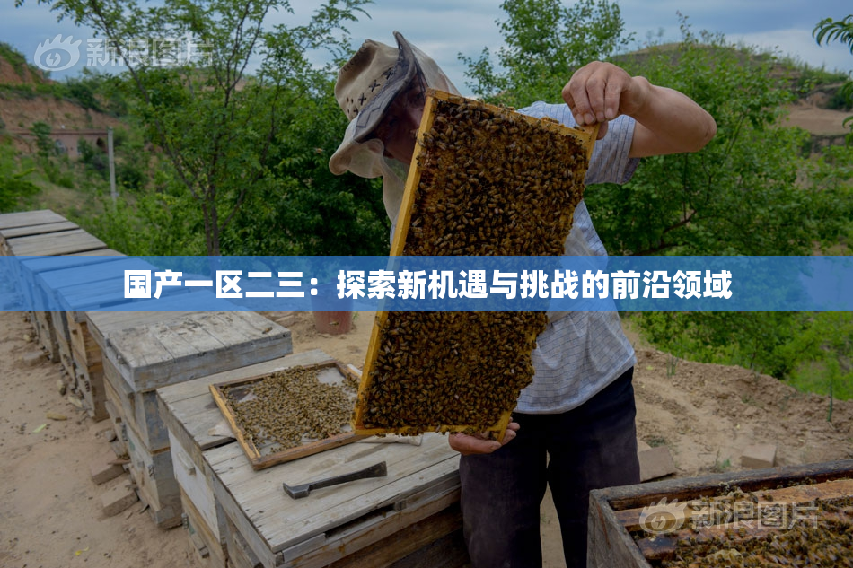 国产一区二三：探索新机遇与挑战的前沿领域