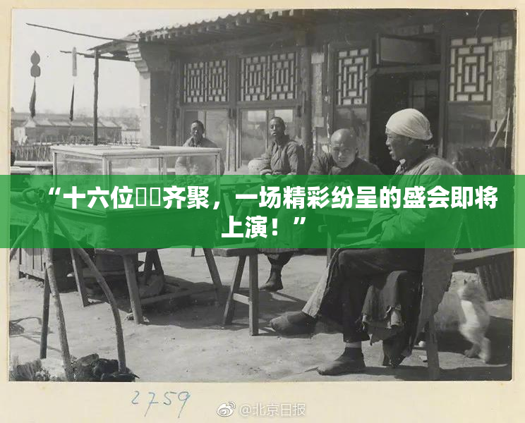 “十六位妺妺齐聚，一场精彩纷呈的盛会即将上演！”