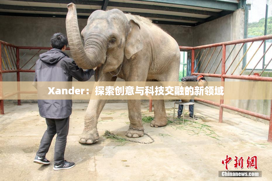 Xander：探索创意与科技交融的新领域