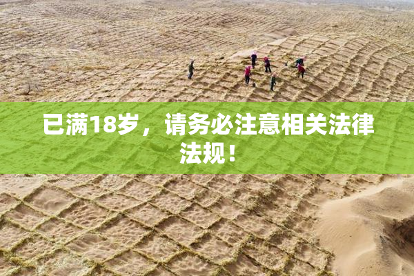 已满18岁，请务必注意相关法律法规！