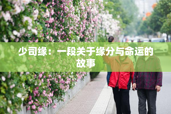 少司缘：一段关于缘分与命运的故事